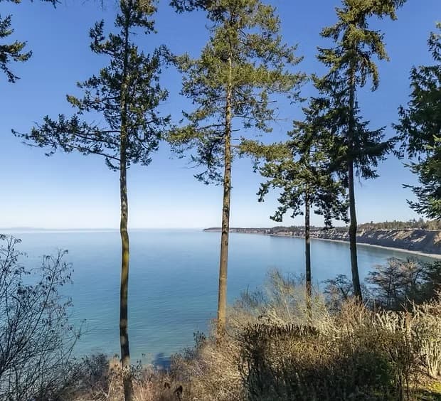 Olympic Bluffs ceremony location